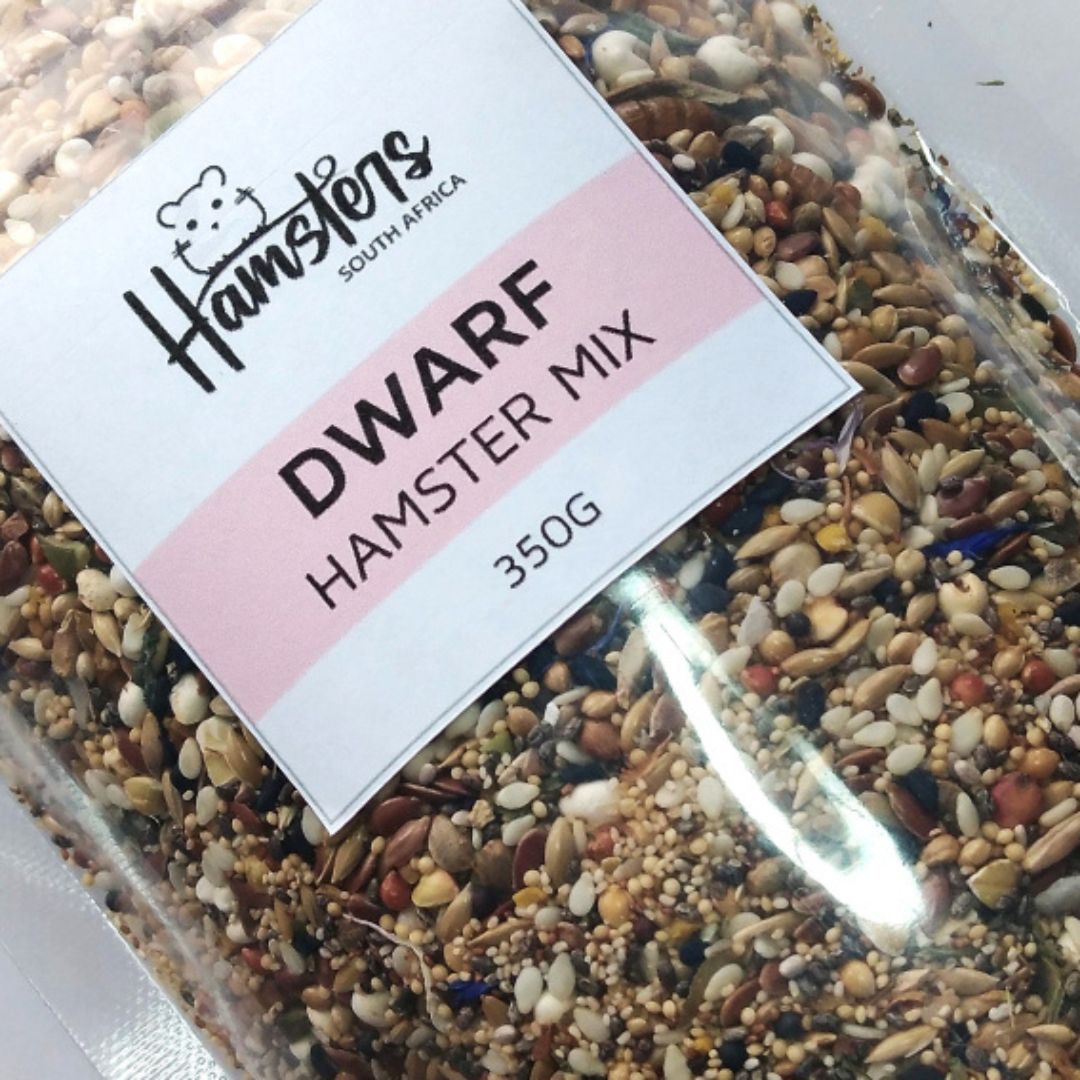 Dwarf Hamster Mix