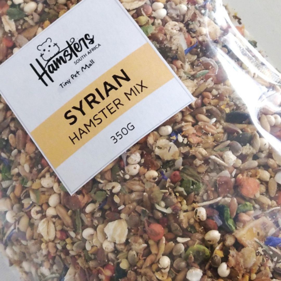Syrian Hamster Mix