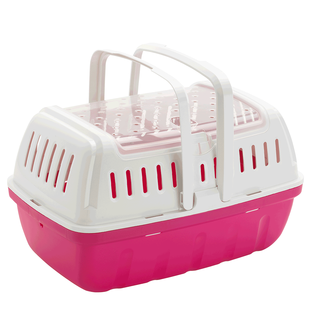 Hipster Carrier