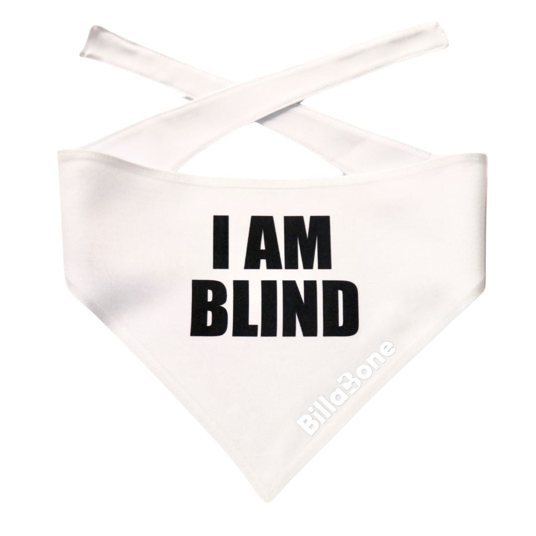 Billabone "I Am Blind" Bandana NEW!