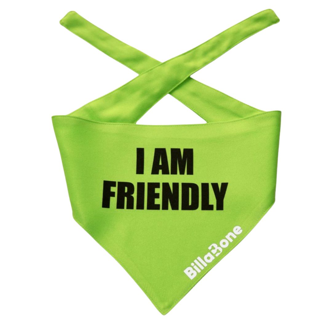 Billabone "I Am Friendly" Bandana NEW!