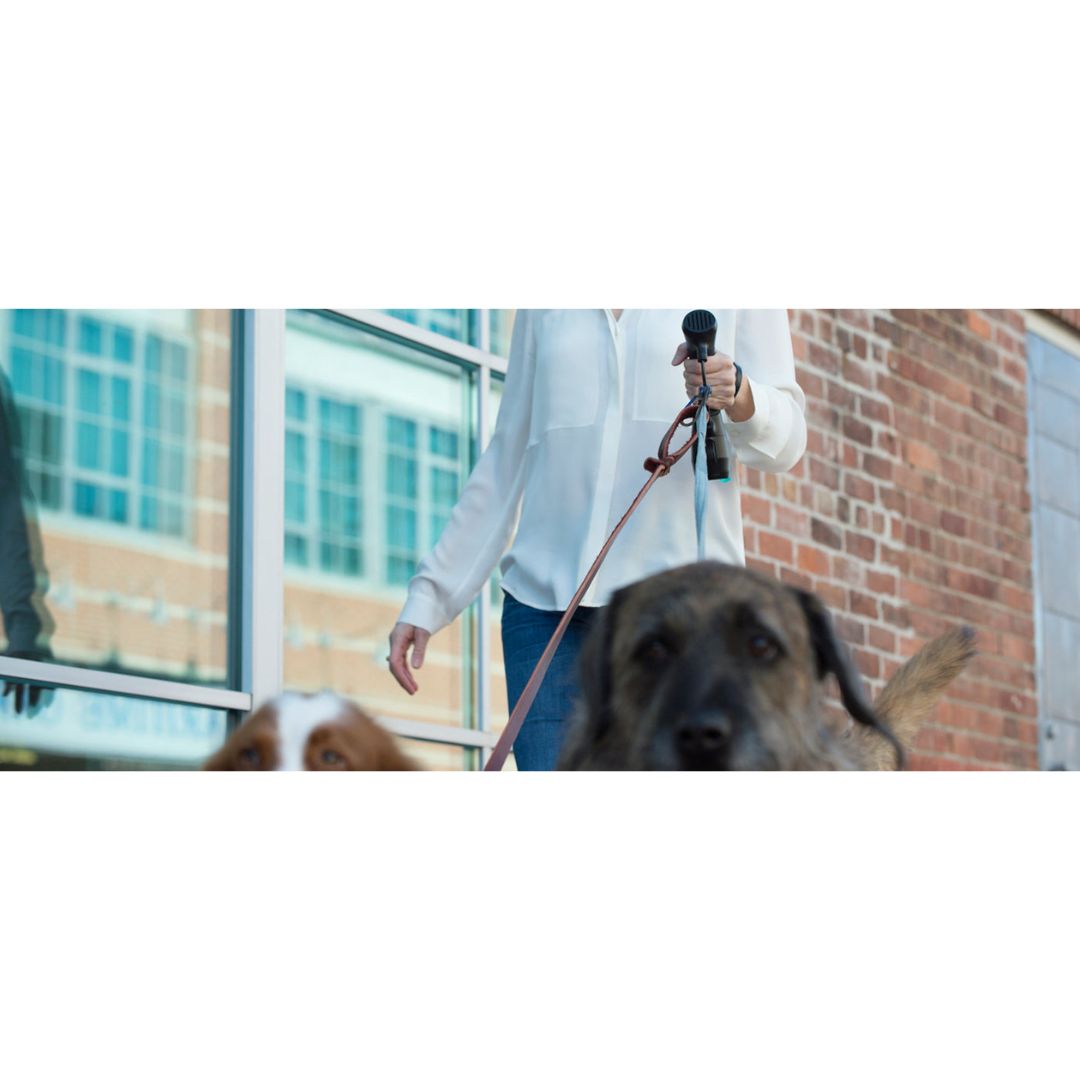 I'm Gismo Dual Leash Connectable (Handle Not Included)