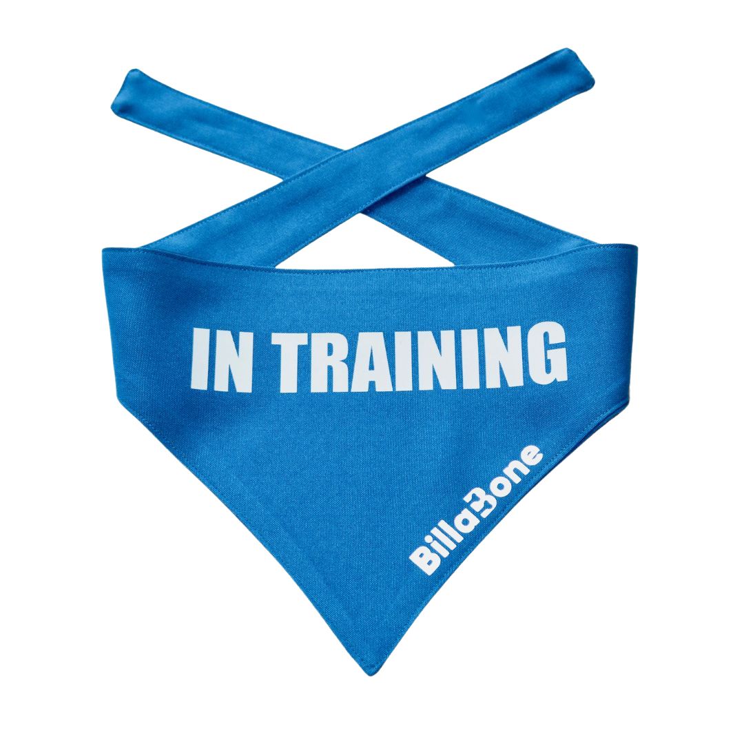 Billabone "In Training" Bandana NEW!