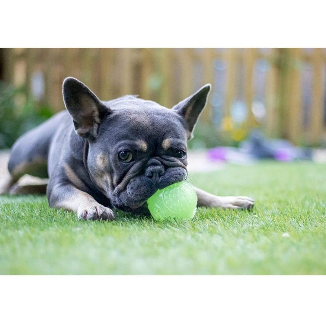 Jolly Doggy Glow in the Dark Ball