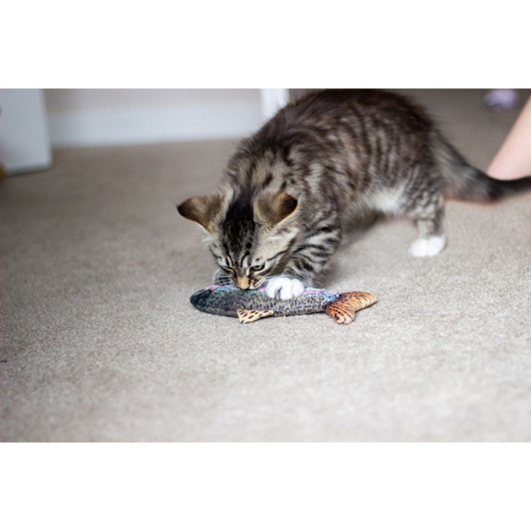 Jolly Moggy Natural Catnip Trout