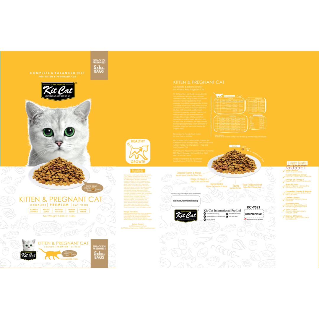Kit Cat Kitten & Pregnant Cat