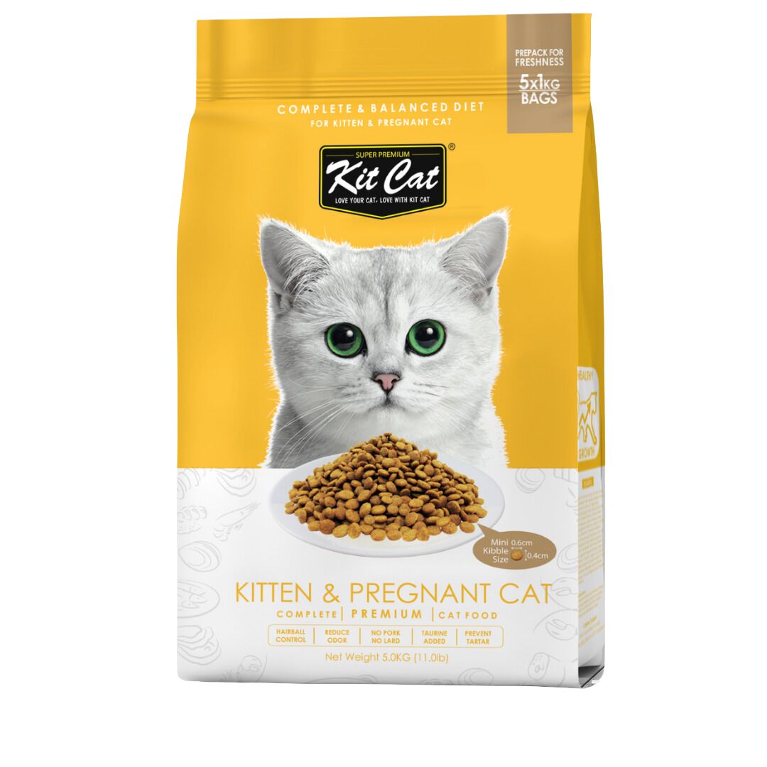 Kit Cat Kitten & Pregnant Cat