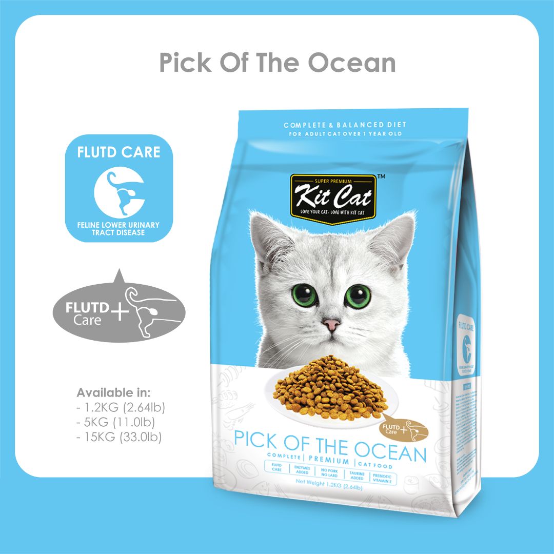 Kit Kat Pick of the Ocean (Urinary Care)