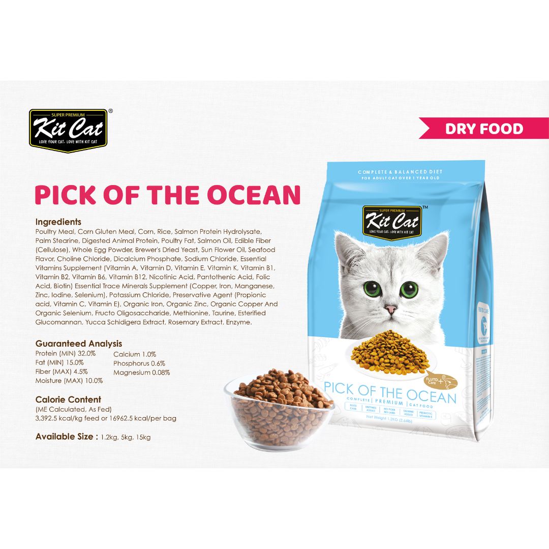 Kit Kat Pick of the Ocean (Urinary Care)