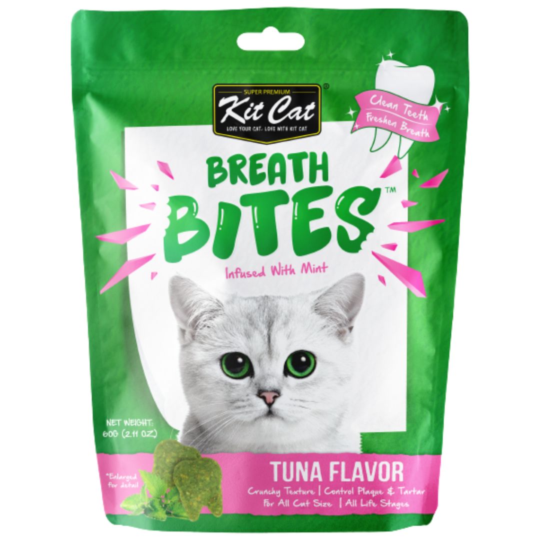 Monthly Cat Essentials Box