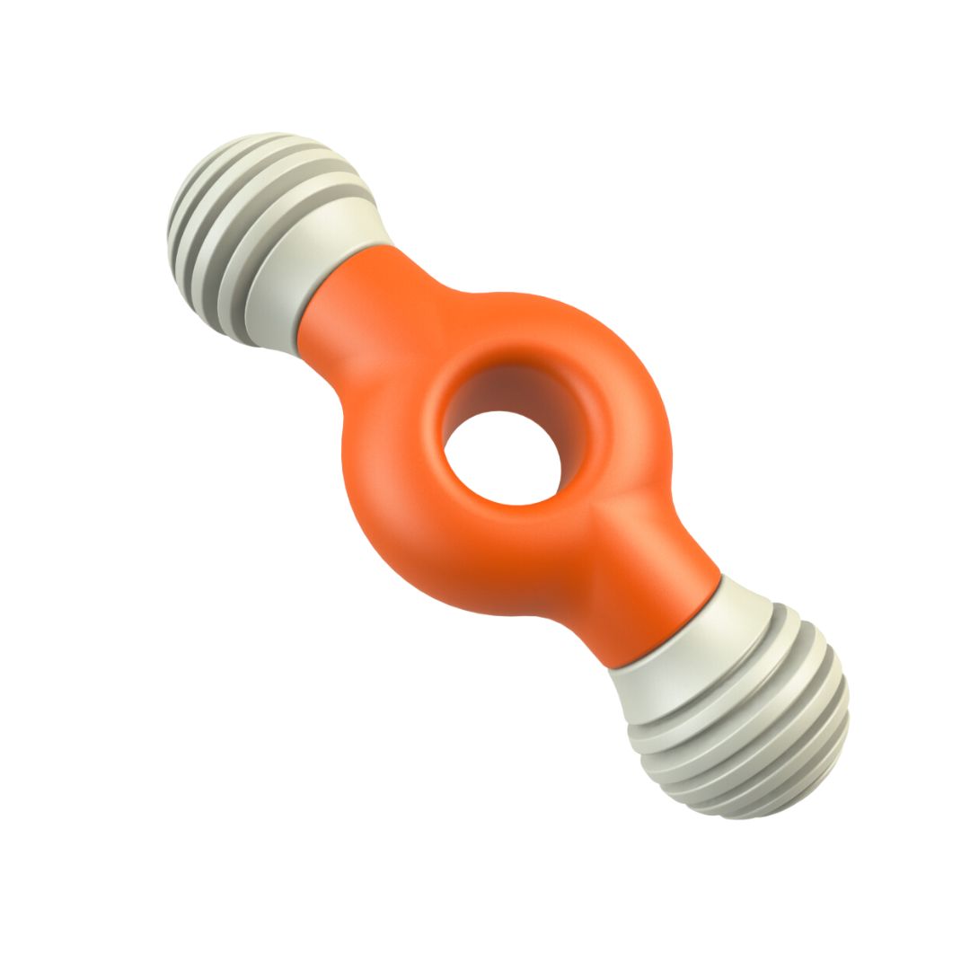 L'Chic Mod Bonz X2 Orange