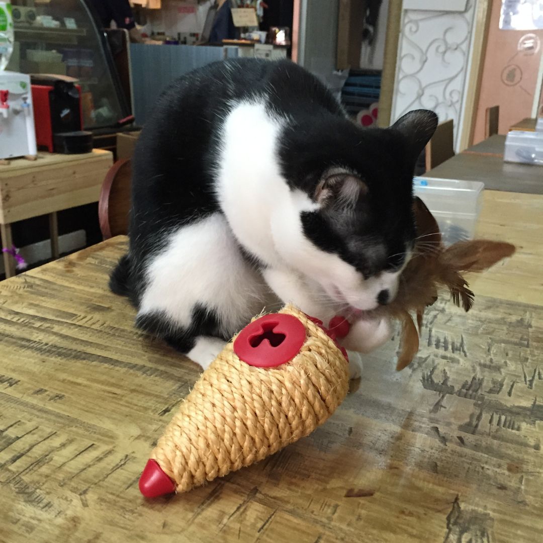 L'Chic Roll Play Cone 3