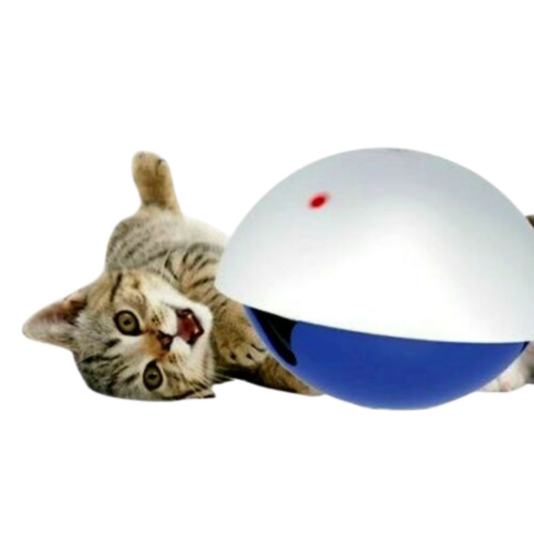L'Chic Wobbly Cat Lazer Toy 2