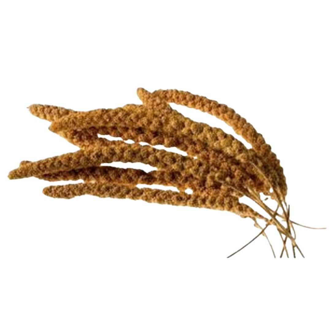 Millet Sprays