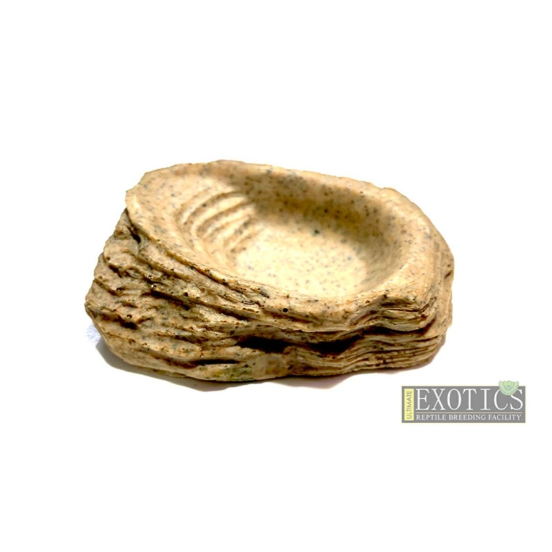 Mini Calcium/Feeding Dish