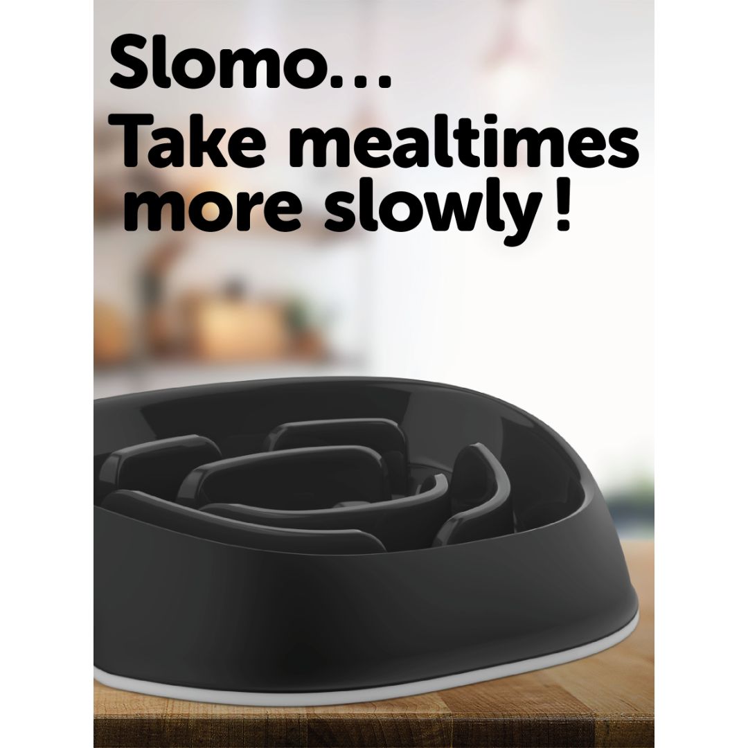 Moderna Slomo 4