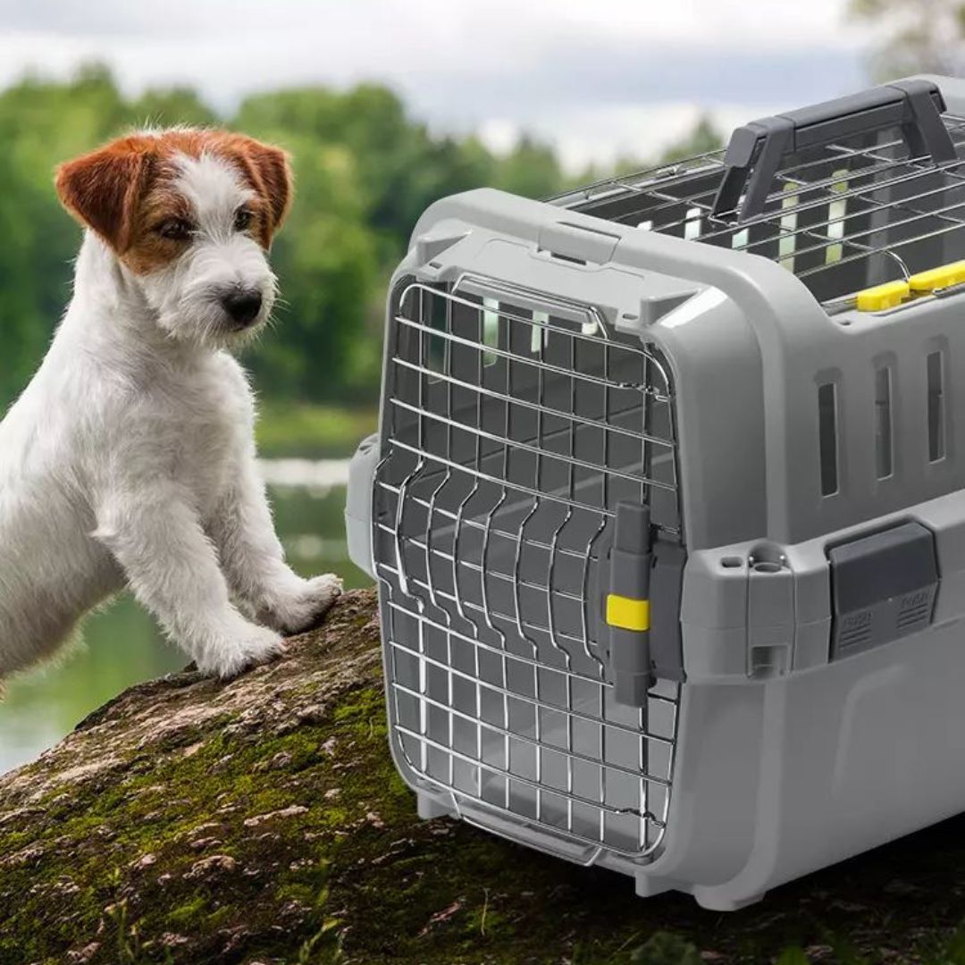 Moderna Odyssey Pet Carier