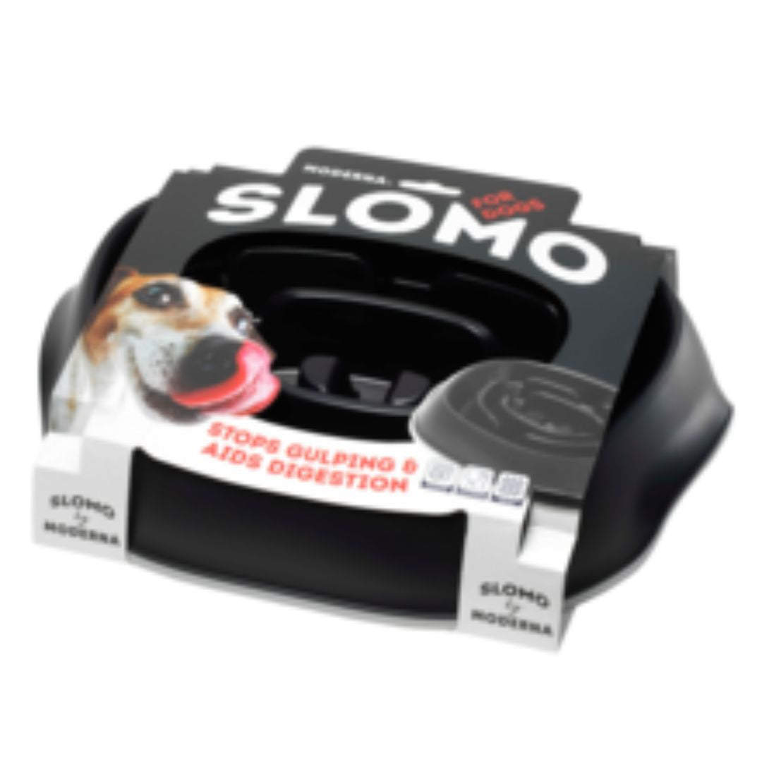 Moderna Slomo