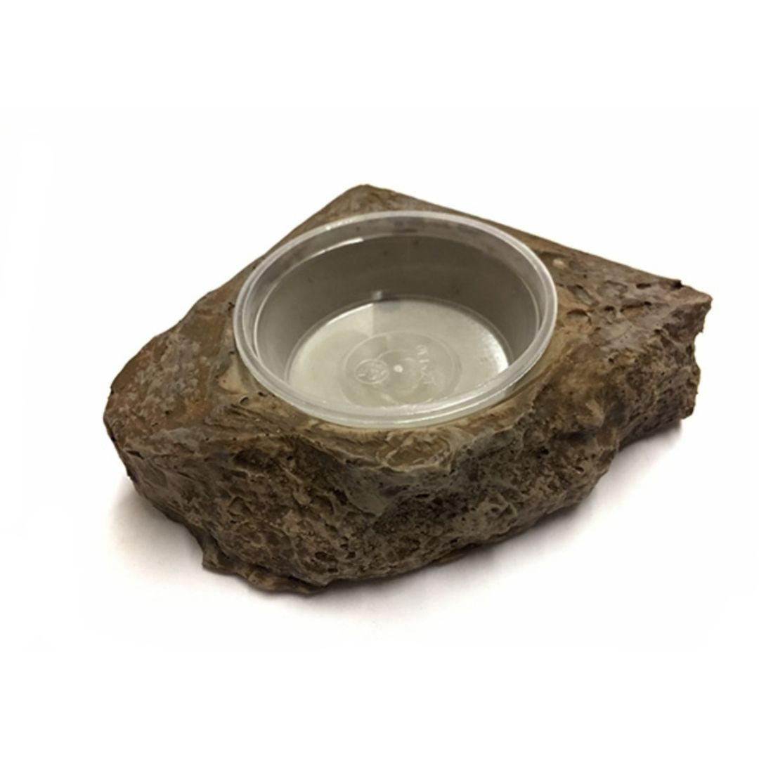 Naturalistic Corner Bowl with Deli Cup