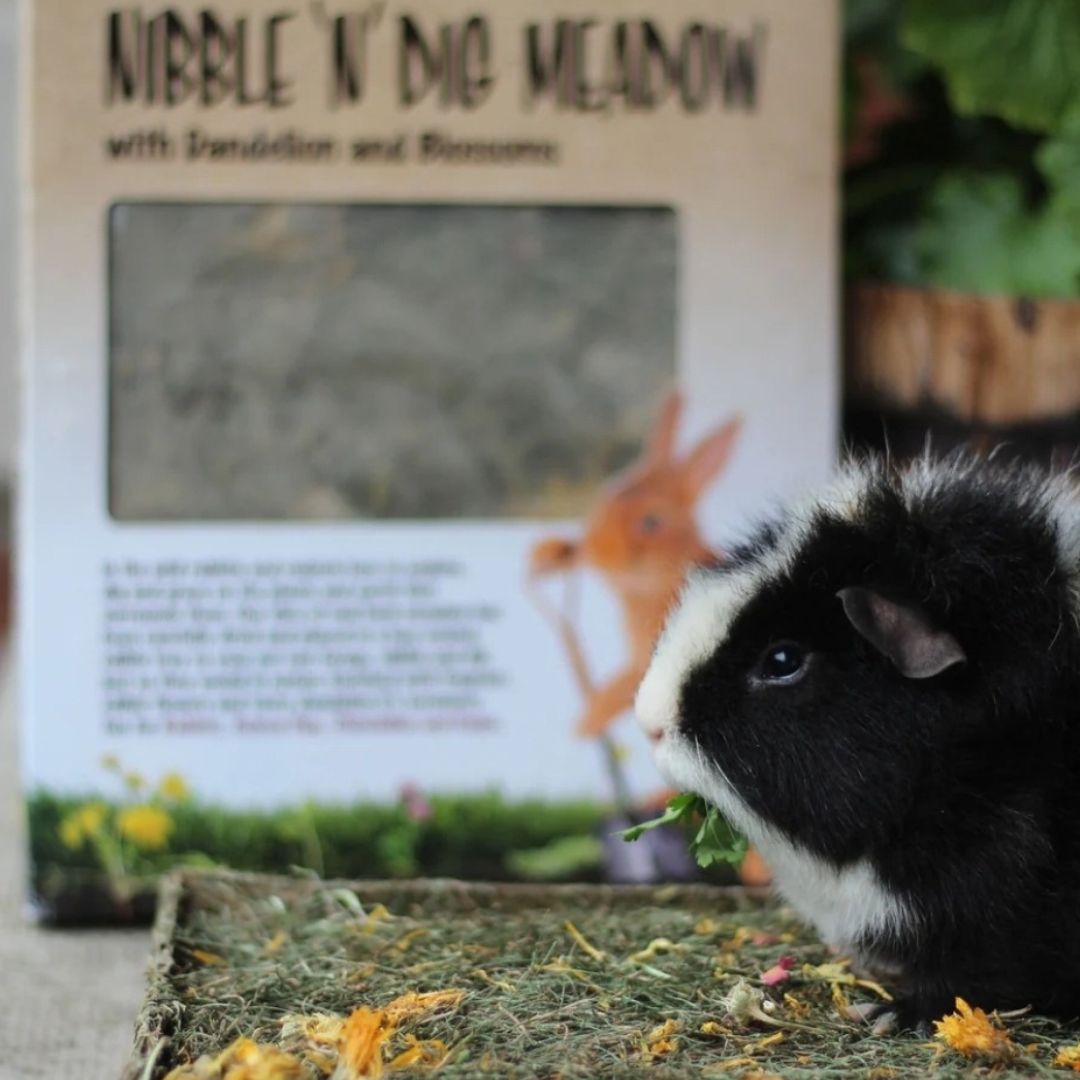 Naturals Nibble & Dig Meadow