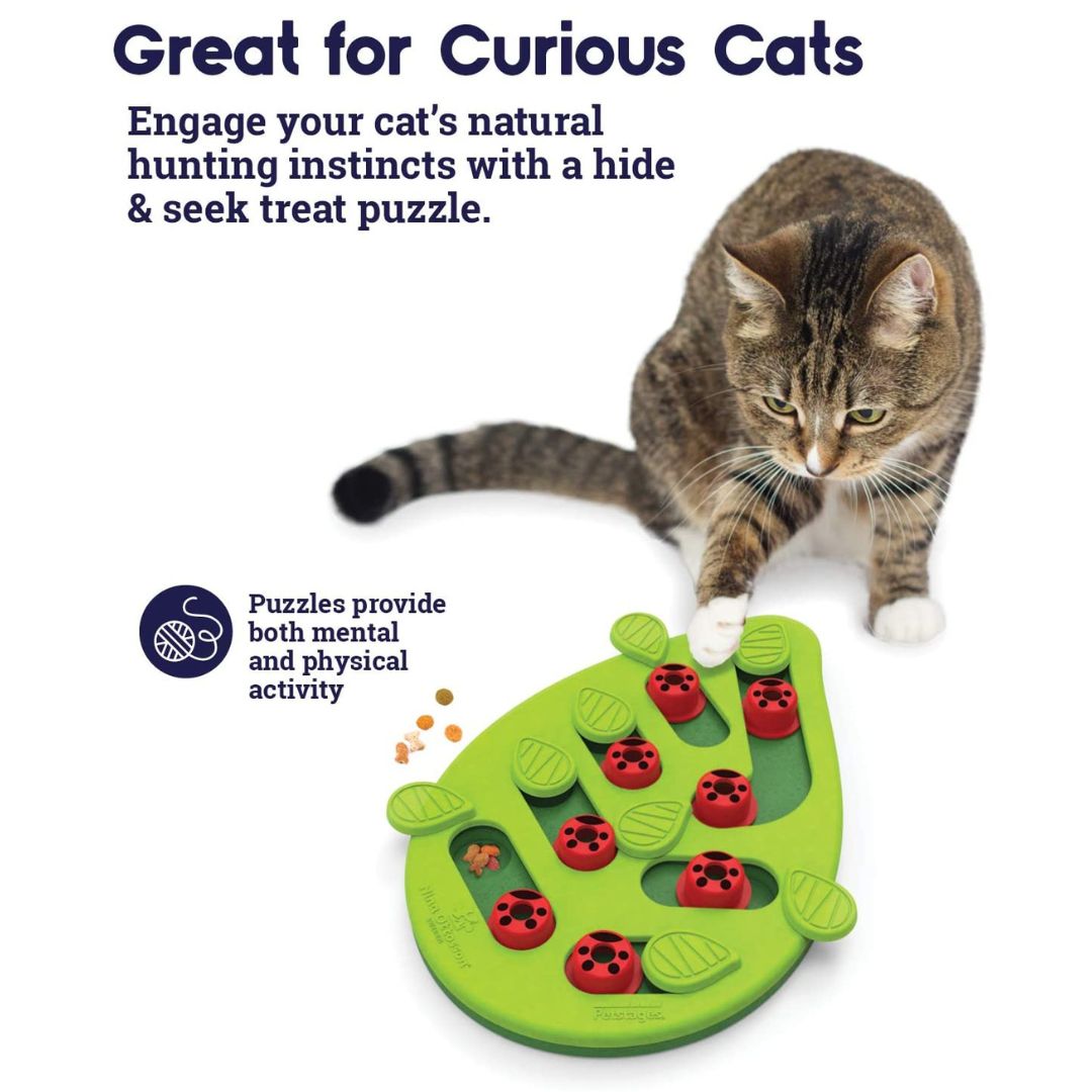 Nina Ottosson Cat Puzzle 'n Play Buggin Out