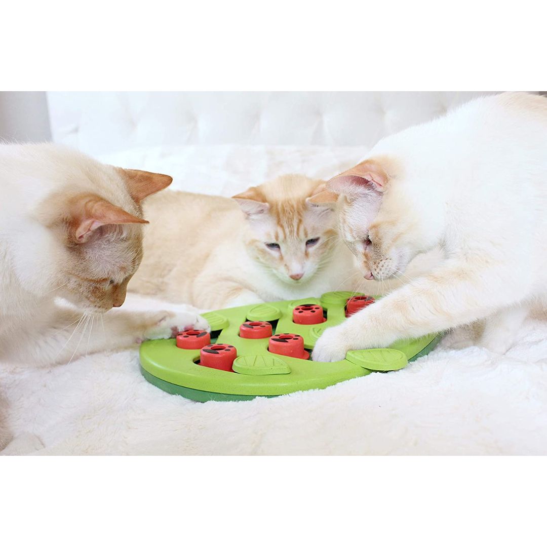 Nina Ottosson Cat Puzzle 'n Play Buggin Out