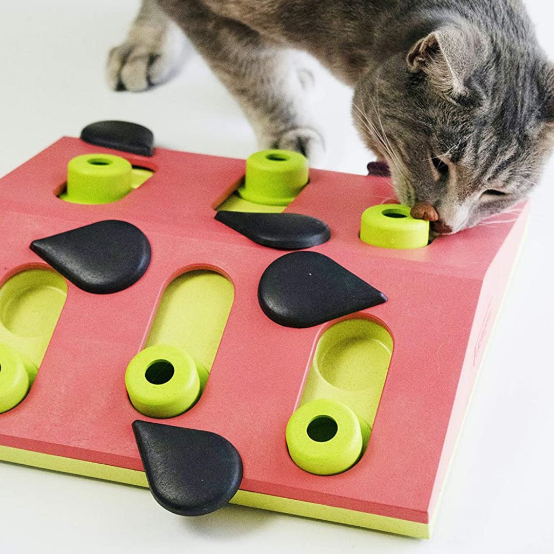 Nina Ottosson Cat Puzzle 'n Play Madness 2