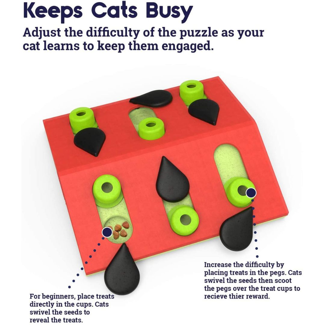 Nina Ottosson Cat Puzzle 'n Play Melon Madness 4
