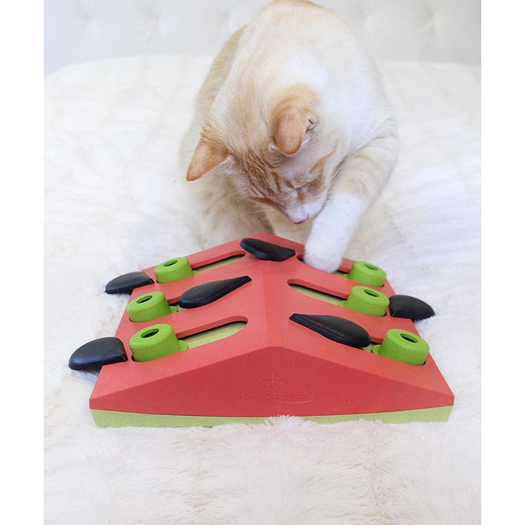 Nina Ottosson Cat Puzzle 'n Play Melon Madness 6