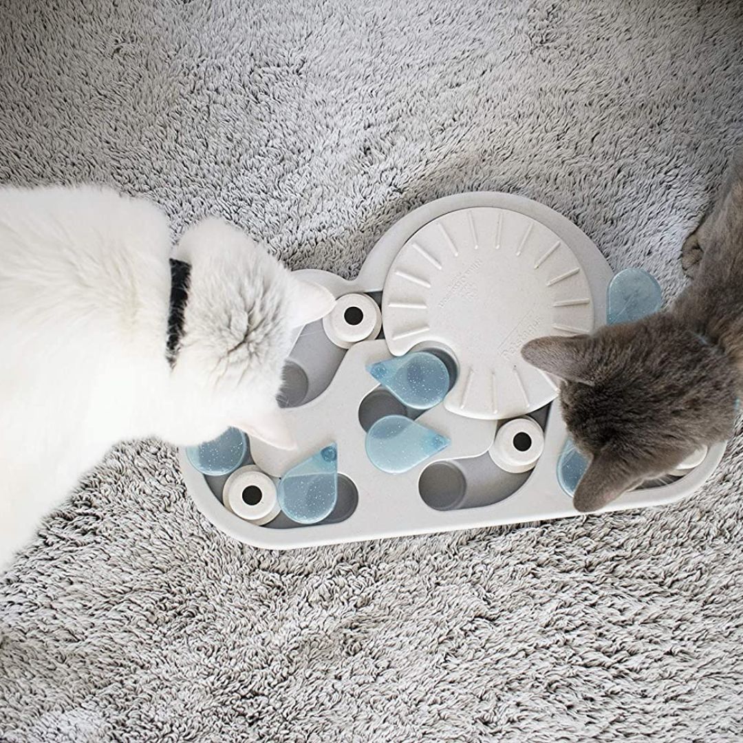 Nina Ottosson Cat Puzzle 'n Play Rainy Day 6