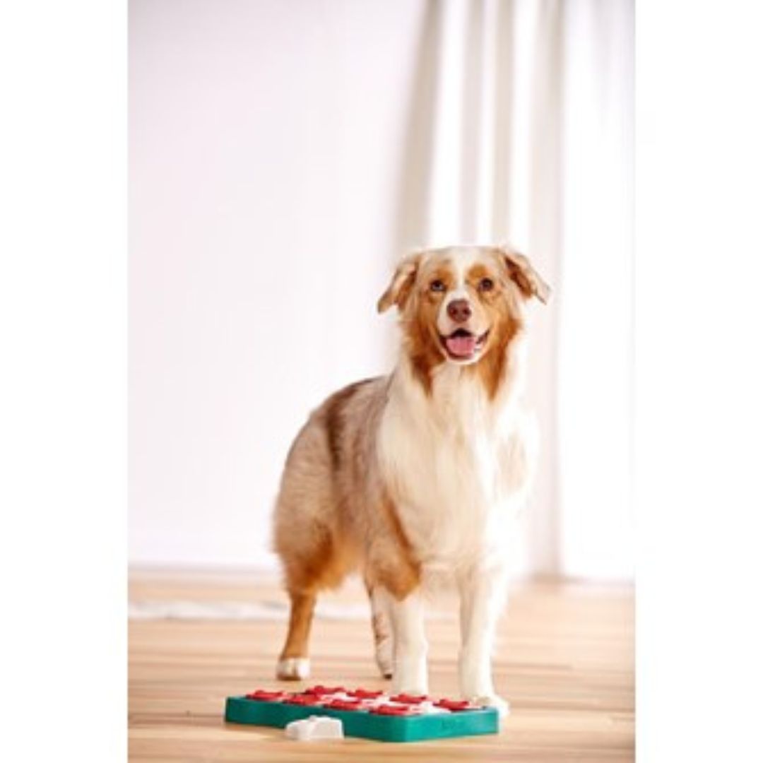 Nina Ottosson Dog Brick Blue 4