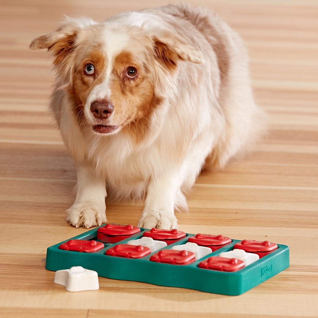 Nina Ottosson Dog Brick Blue 5