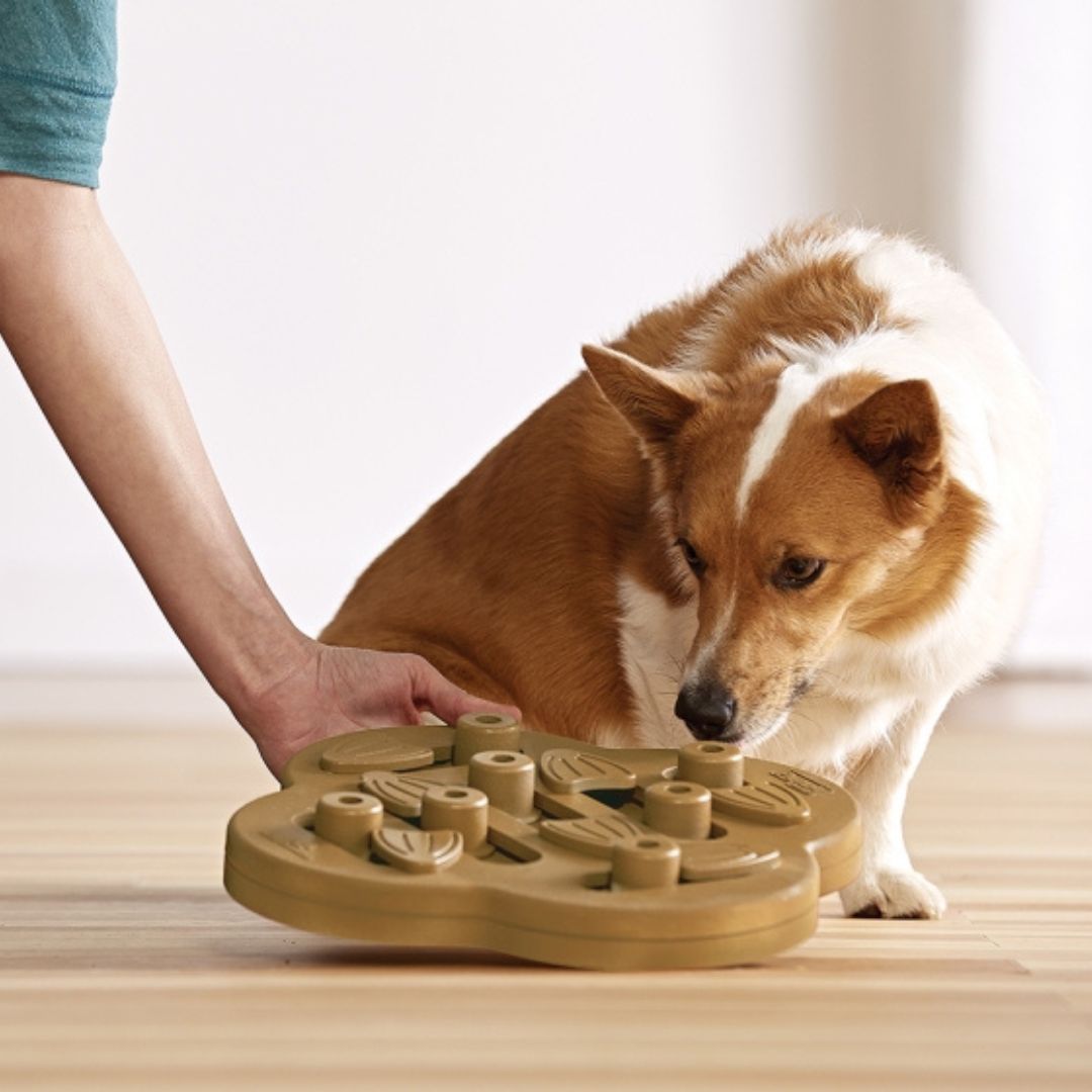 Nina Ottosson Dog Hide 'n Slide Composite 2