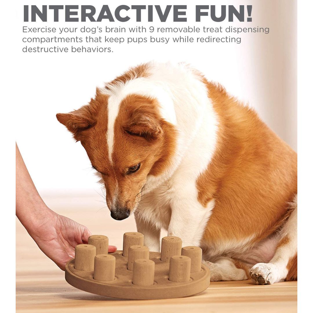 Nina Ottosson Dog Hide 'n Slide Composite 5