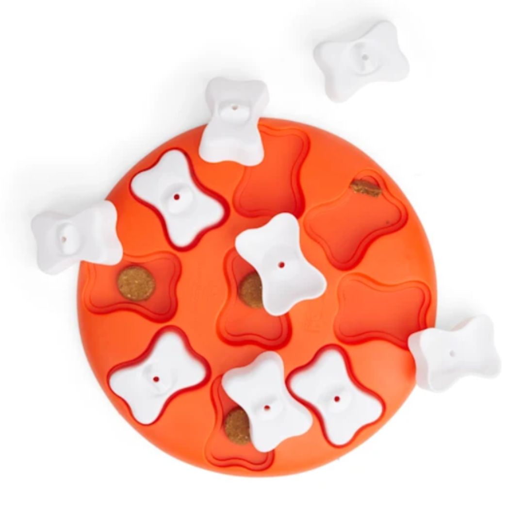 Nina Ottosson Dog Smart