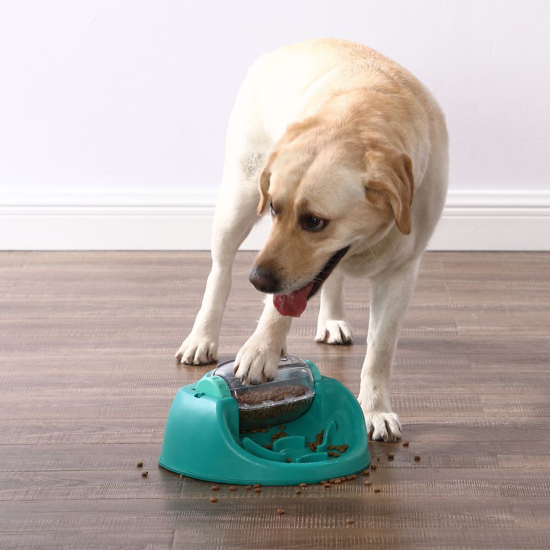 Nina Ottosson Dog Spin 'n Eat Puzzle 2