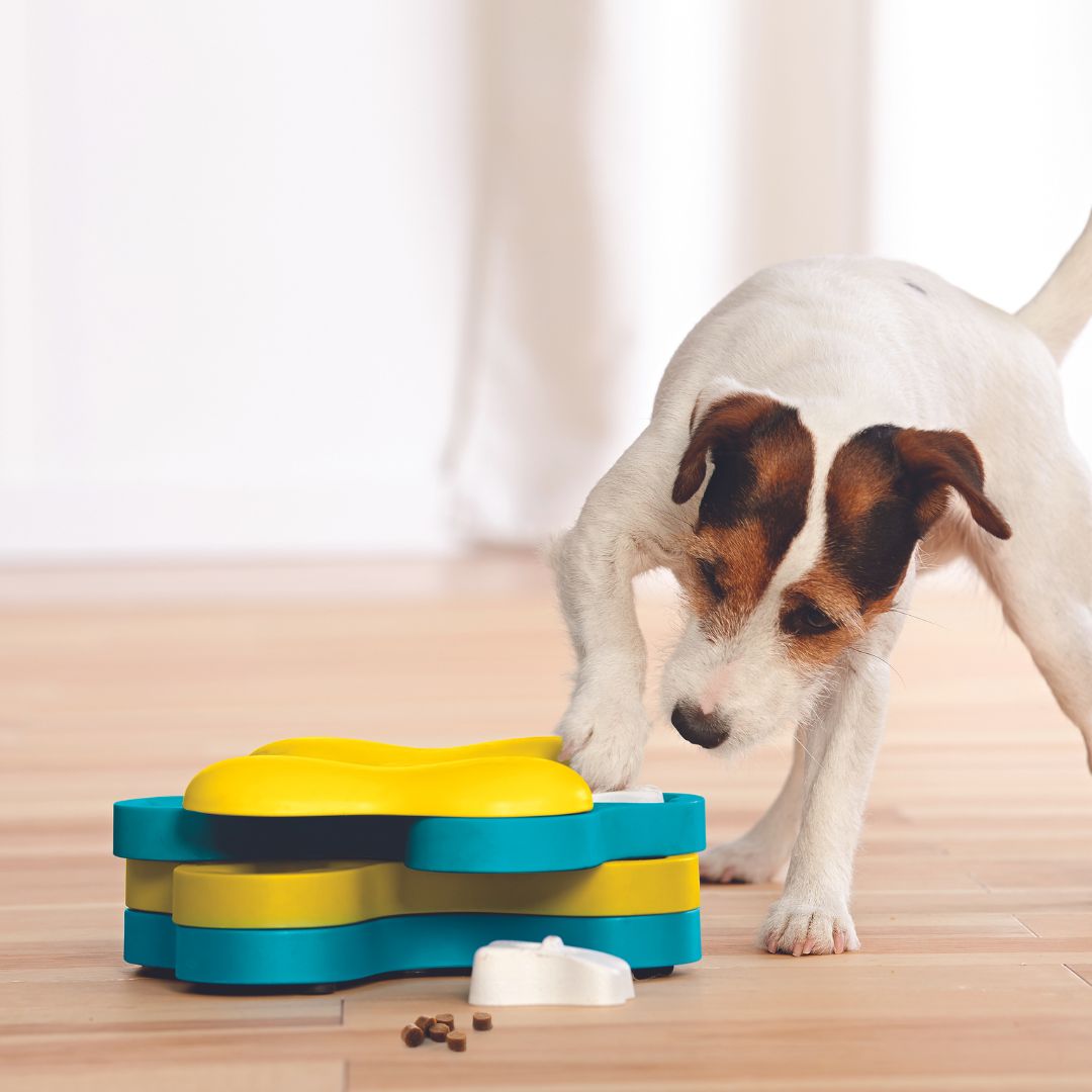 Nina Ottosson Dog Tornado 4