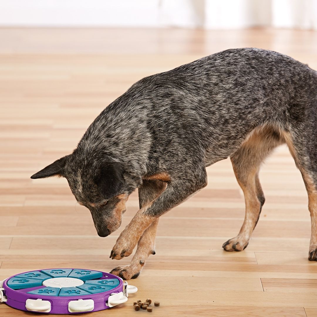 Nina Ottosson Dog Twister 6