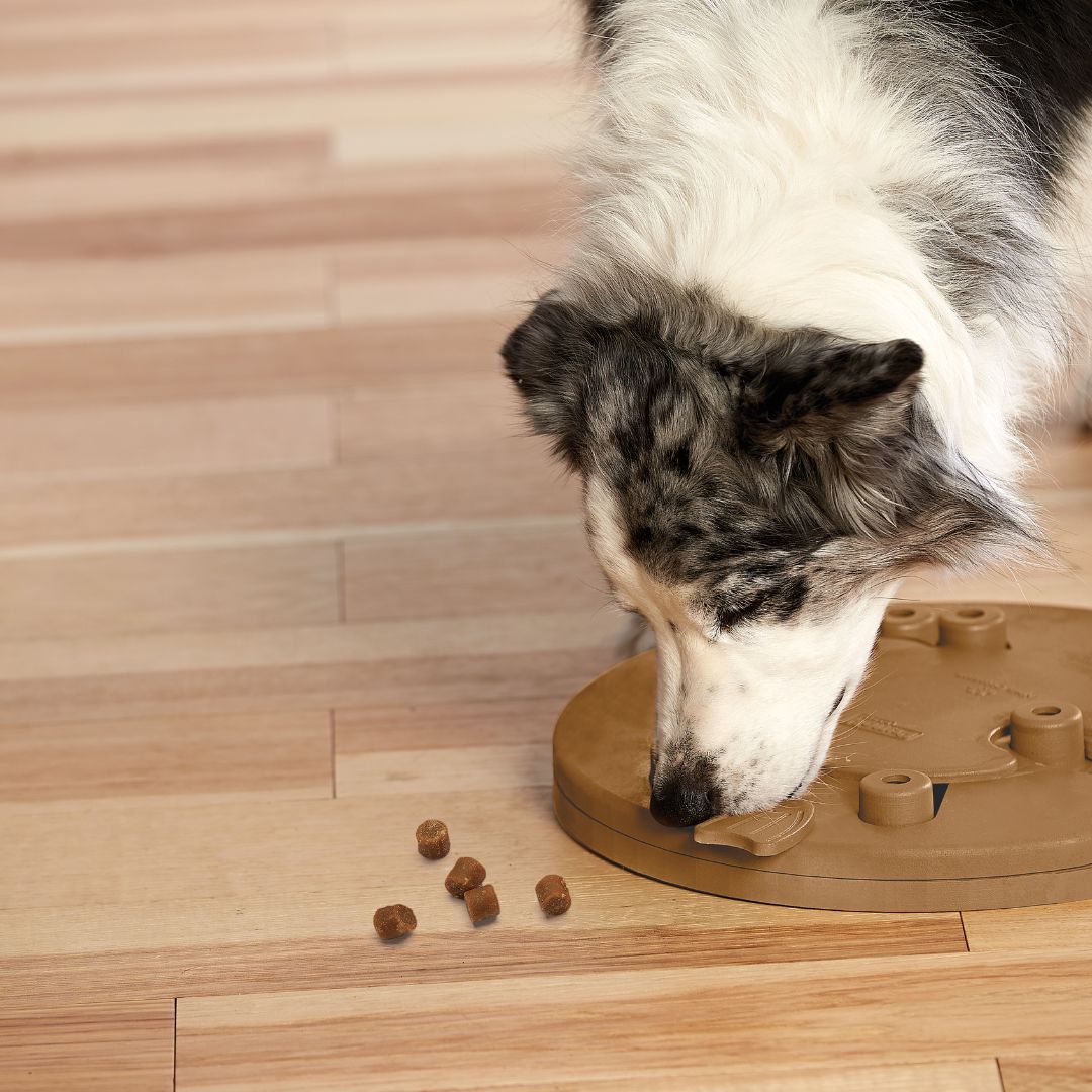 Nina Ottosson Dog Worker Composite 4