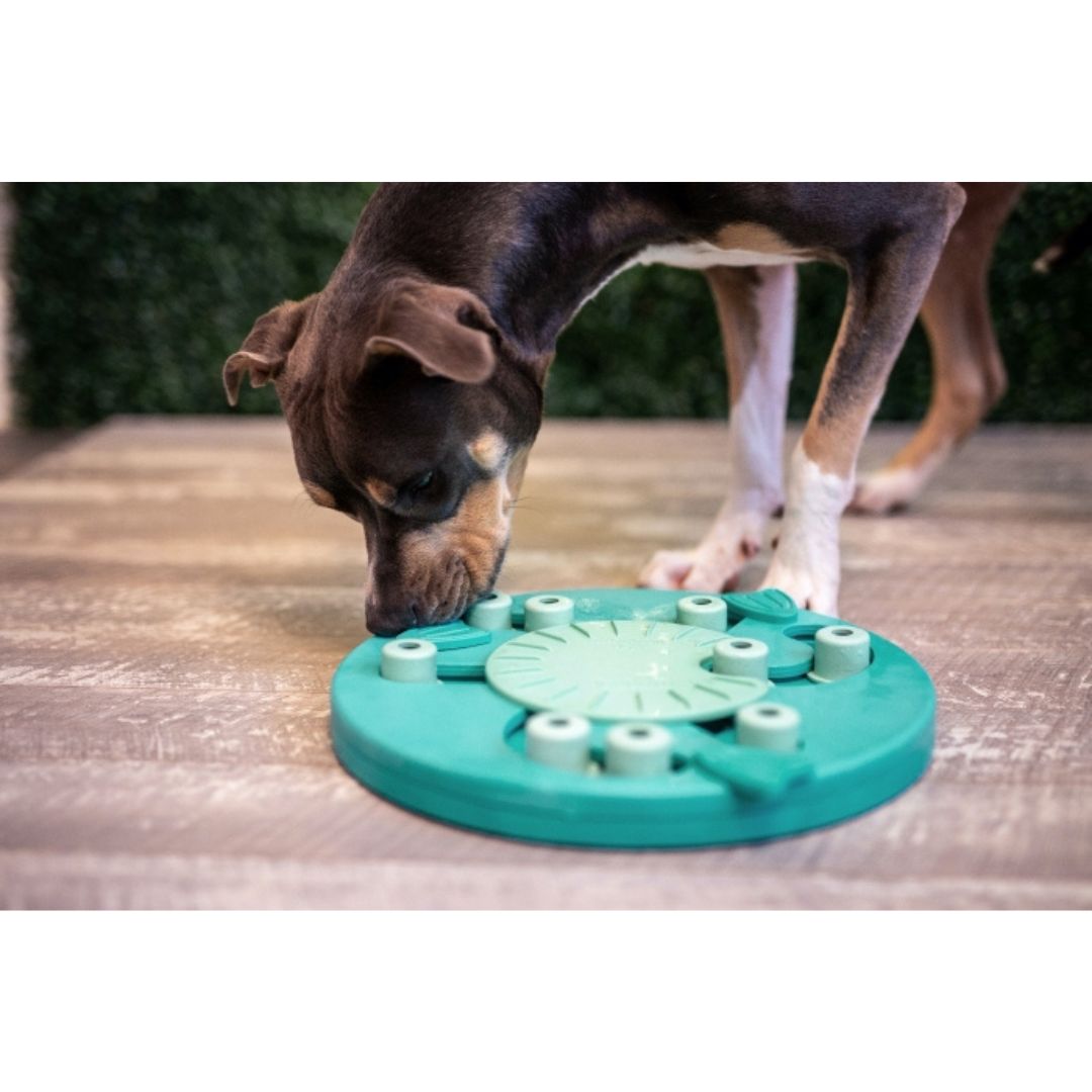 Nina Ottosson Dog Worker Green 5