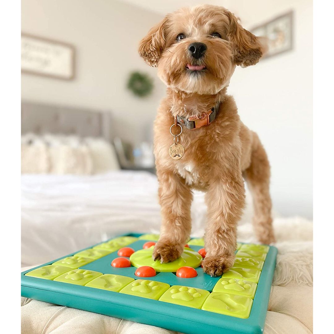Nina Ottosson Multipuzzle 5
