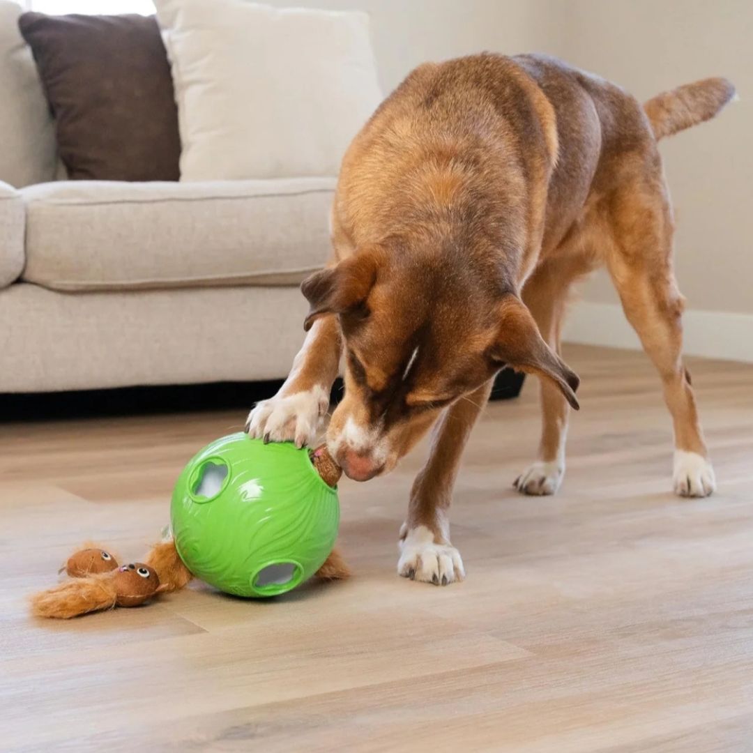Nina Ottosson Dog Snuffle 'n Treat Ball