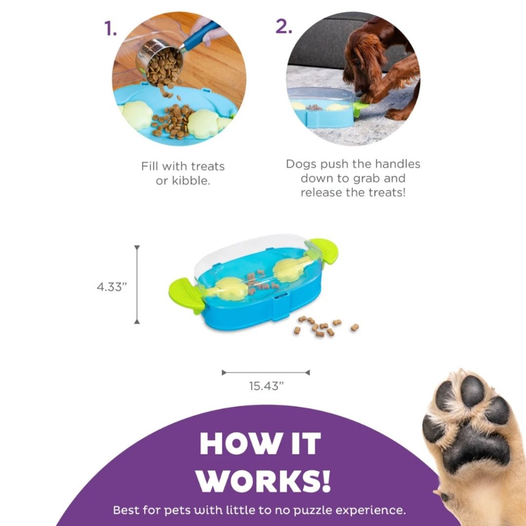 Paw 'n Play