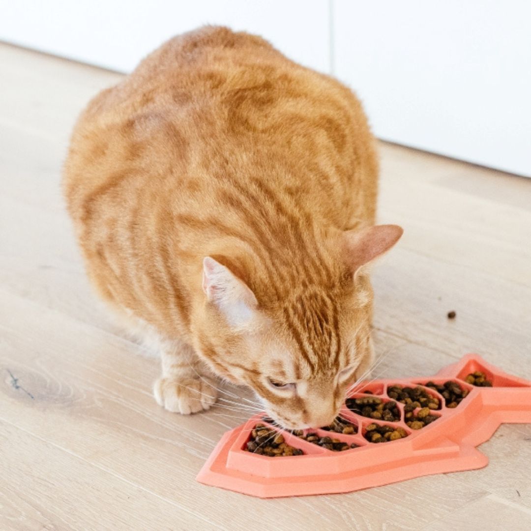 Outward Hound Cat Fishy Fun Feed Mat 5