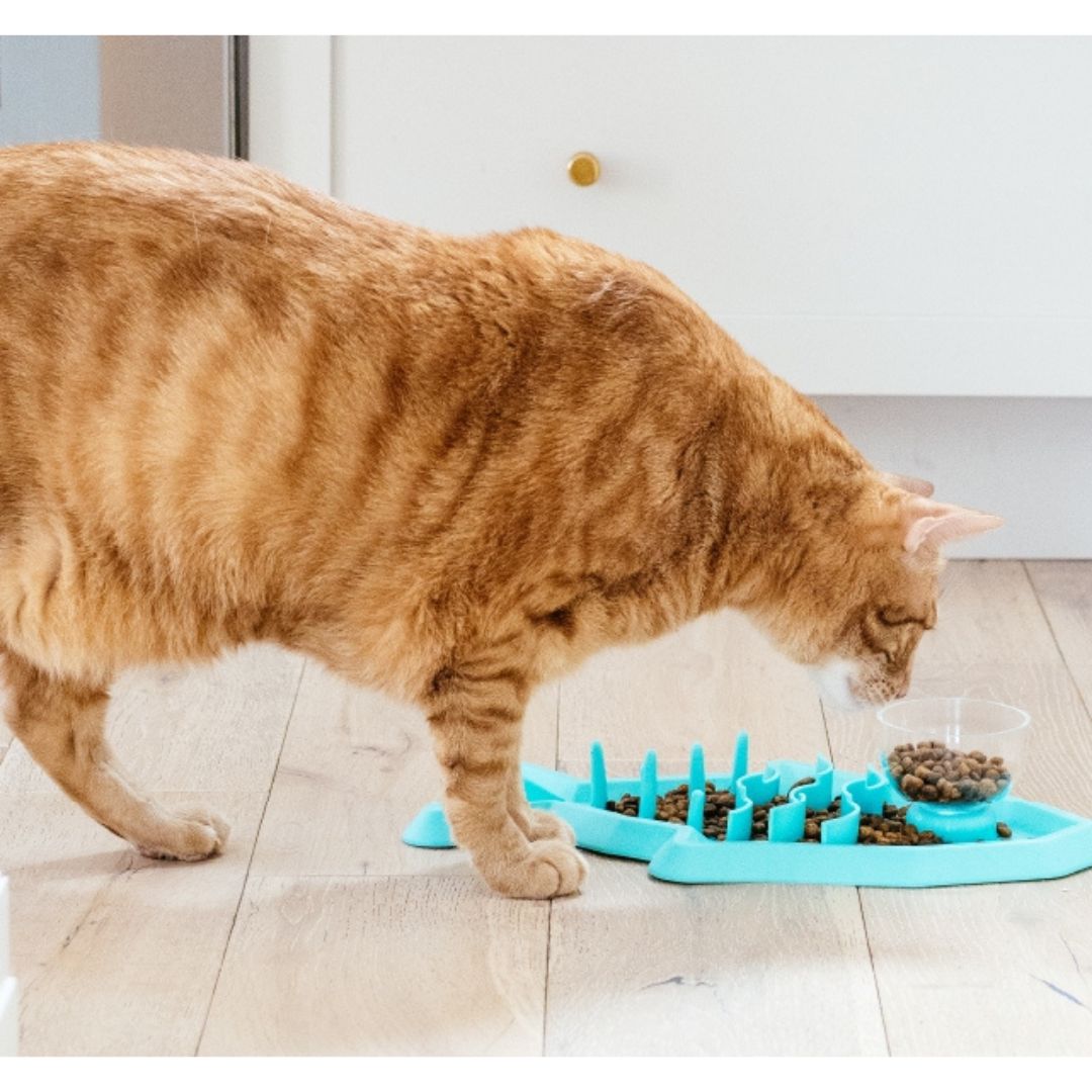 Outward Hound Cat Hunt 'n Snack Mat 6