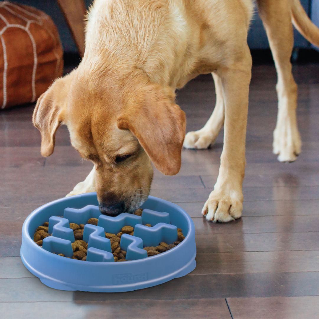 Outward Hound Fun Feeder Notch Blue 4