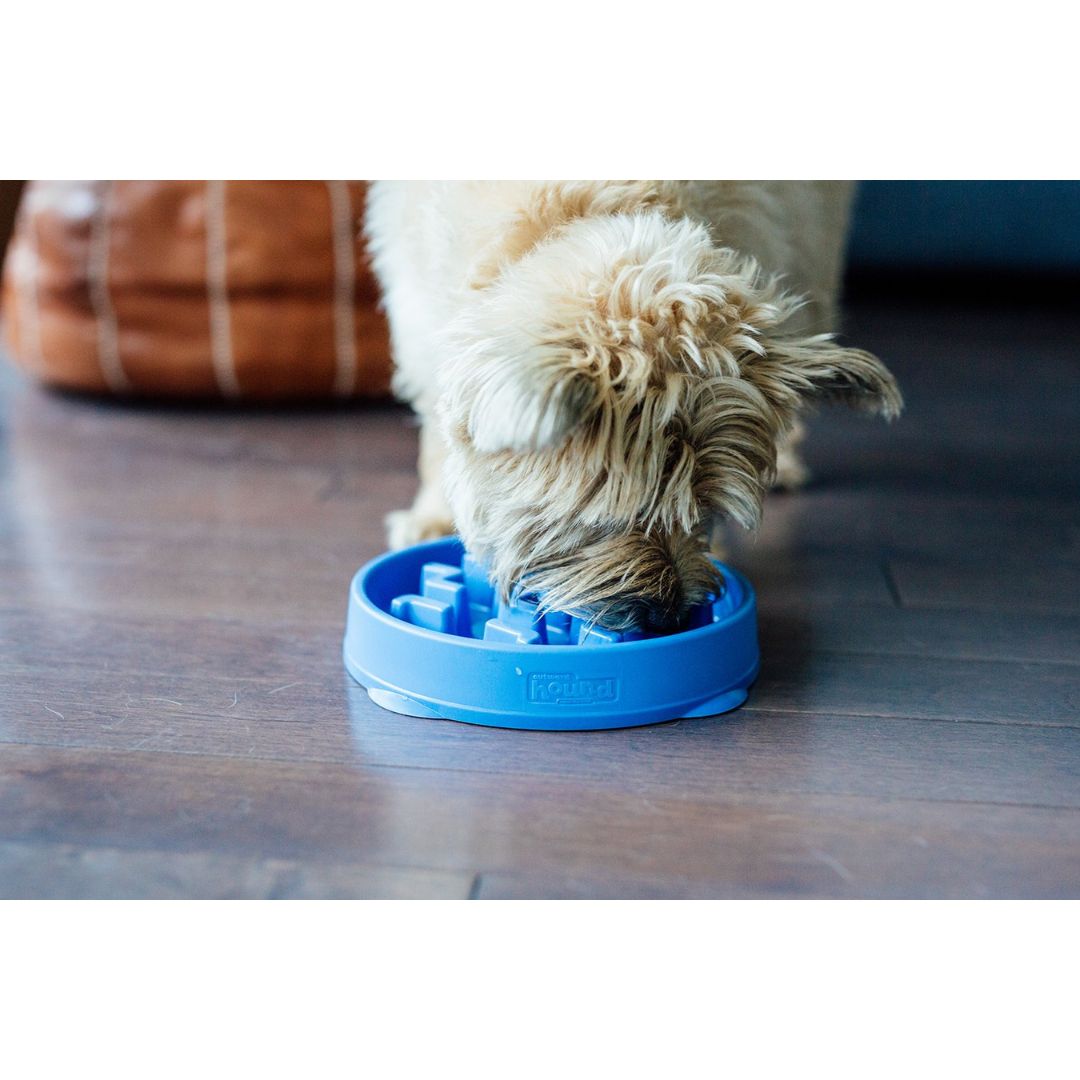 Outward Hound Fun Feeder Notch Blue 5