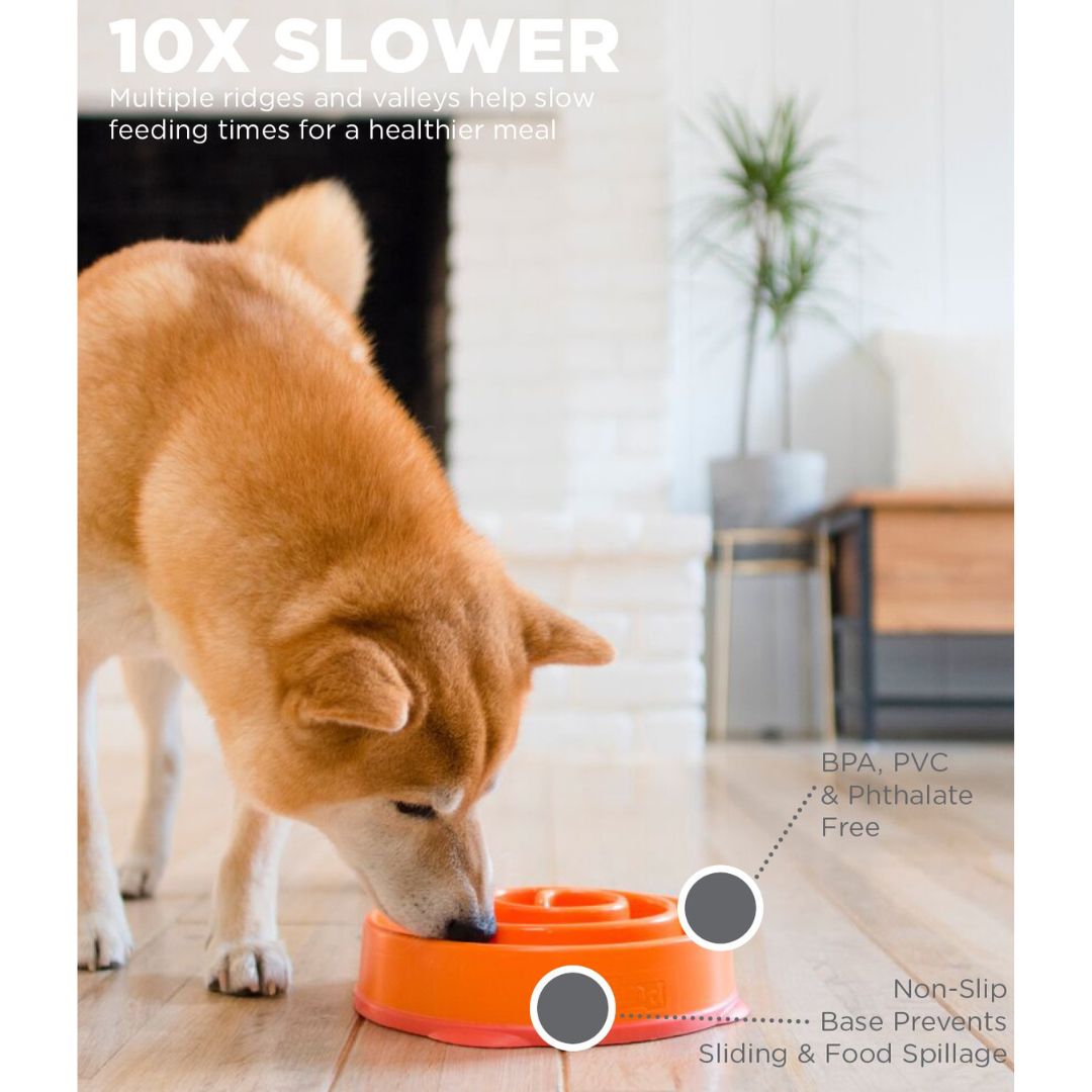 Outward Hound Fun Feeder Orange 4