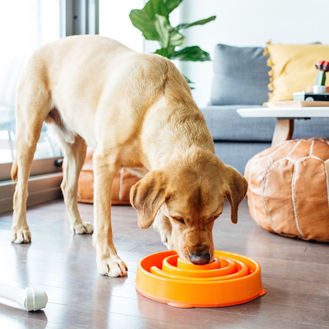 Outward Hound Fun Feeder Orange 7