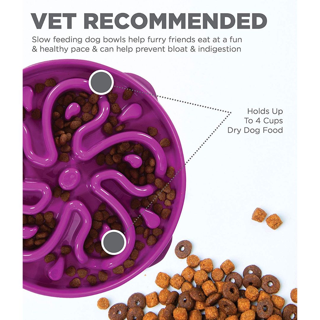 Outward Hound Fun Feeder Purple